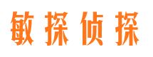 湘桥市侦探调查公司